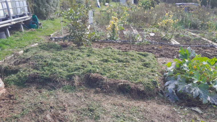 Anlegen eines Mulchbeetes