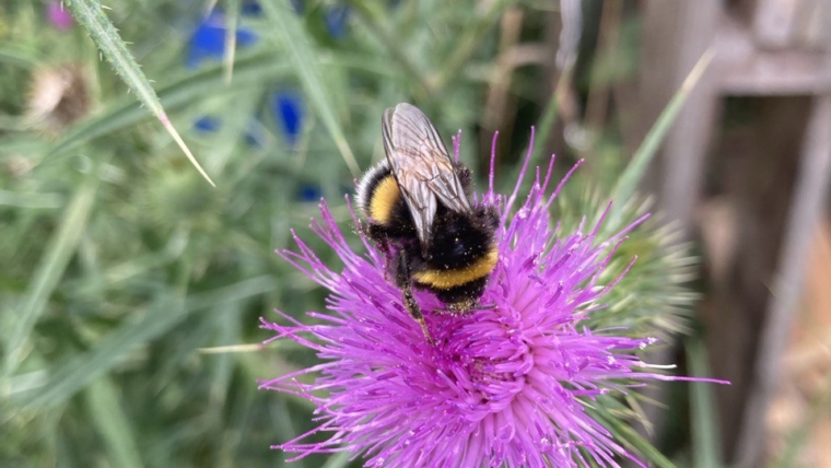 Gemeinsam gewinnen wir!