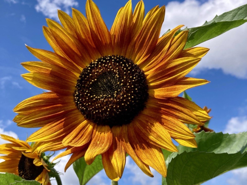 photo_23_2025-10-15_13-14-03